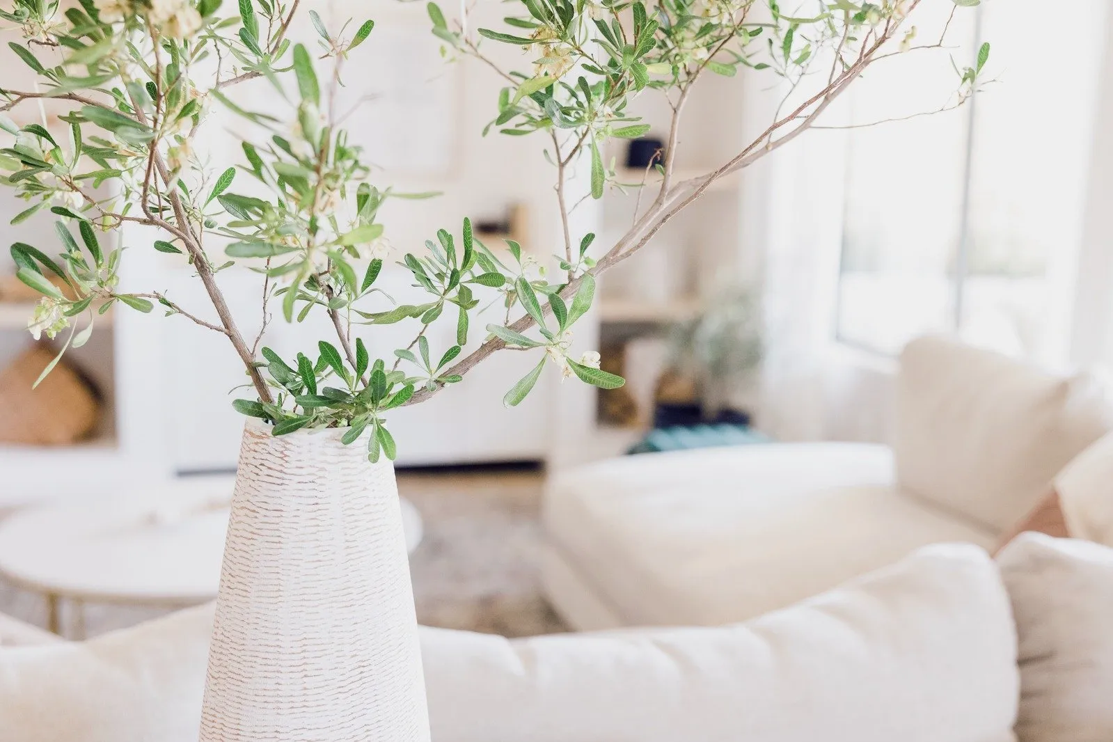 A calm, light-filled home